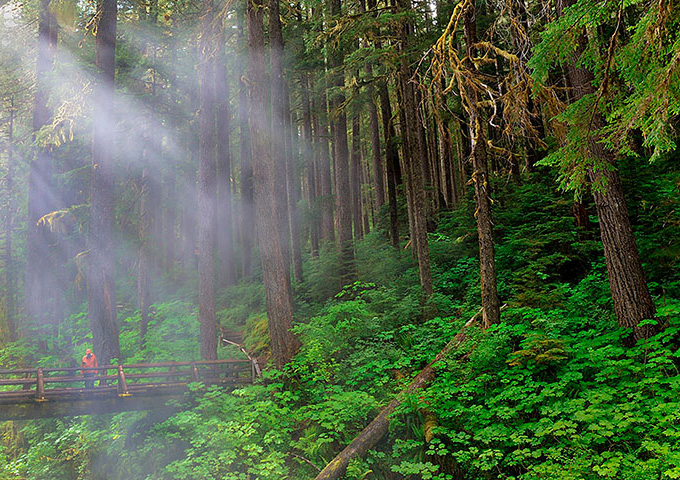 The Olympic Peninsula - October 1-7, 2016